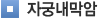 자궁내막암