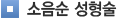 소음순성형술