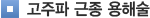 고주파 근종 용해술