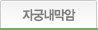 자궁내막암