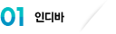 인디바