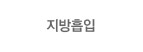 지방흡입