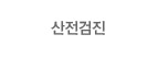 산전검진