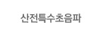 산전특수초음파